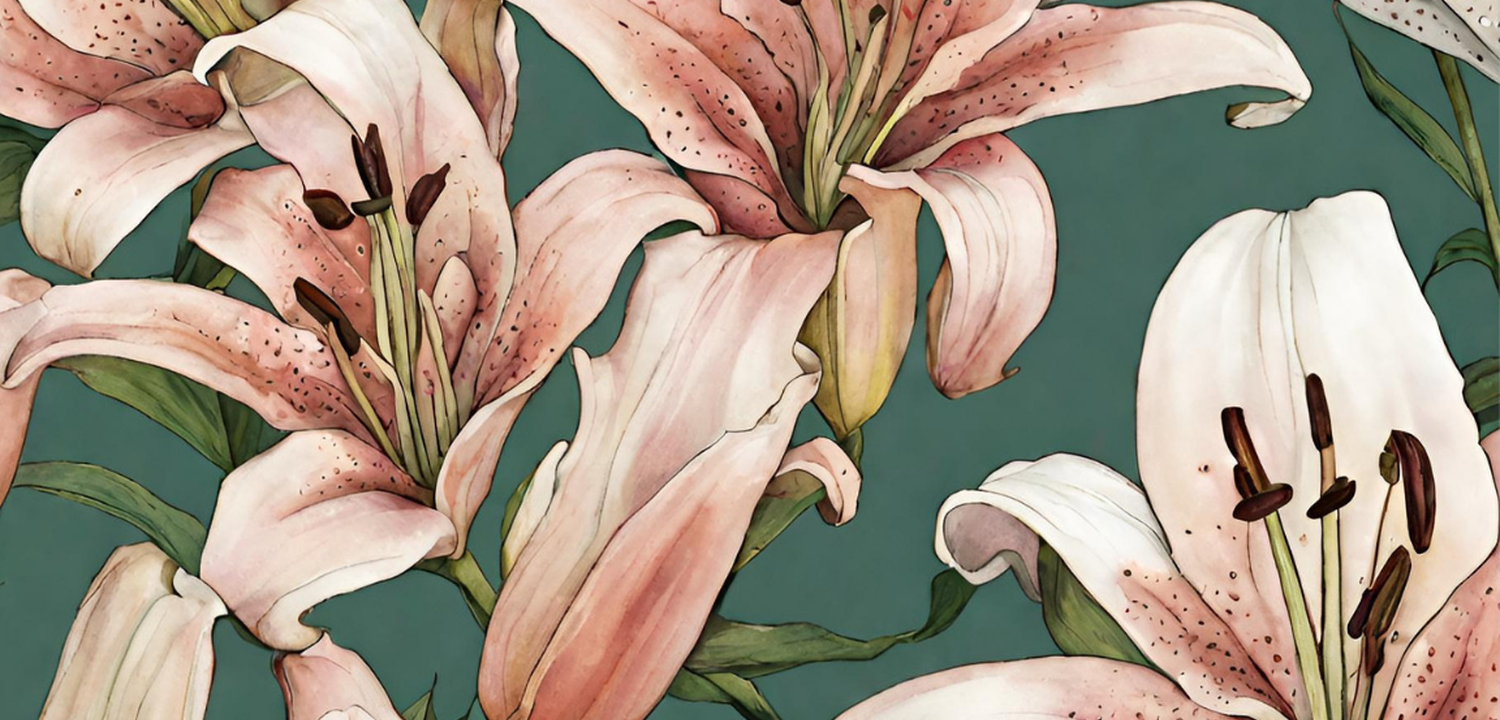 Slohovky a básničky 